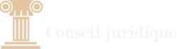 Conseil juridique